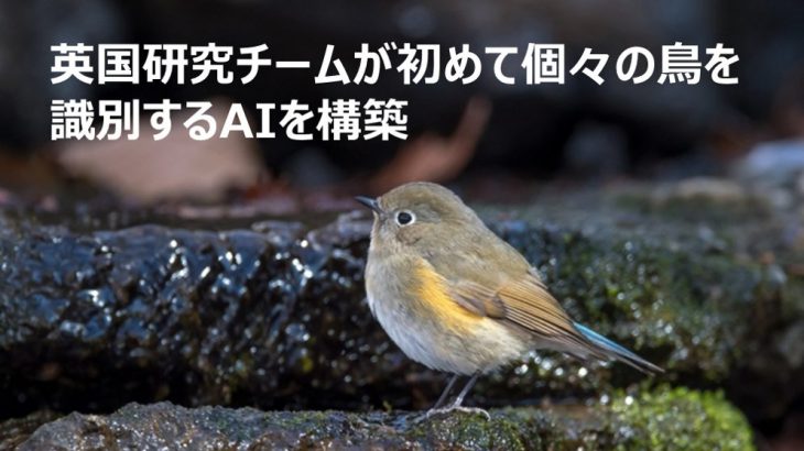 研究チームが初めて個々の鳥を識別するAIを構築、ほか【AI最新ニュース】